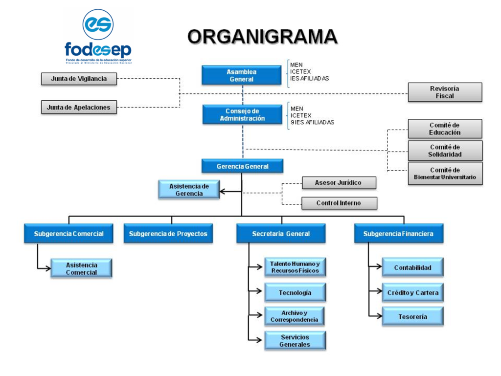 Organigrama2